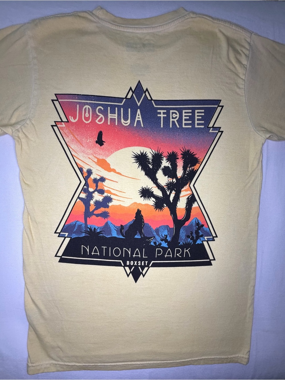 Joshua Tree National Park Graphic Tee - Cream Sunset